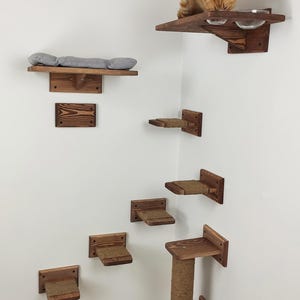May include: A wooden cat tree with multiple shelves and a scratching post. The shelves are made of natural wood and have a rope-covered surface. The scratching post is also covered in rope. A cat is sitting on one of the shelves, looking down at a bowl of food.