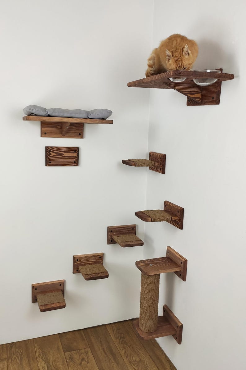 May include: A wooden cat tree with multiple shelves and a scratching post. The shelves are made of natural wood and have a rope-covered surface. The scratching post is also covered in rope. A cat is sitting on one of the shelves, looking down at a bowl of food.