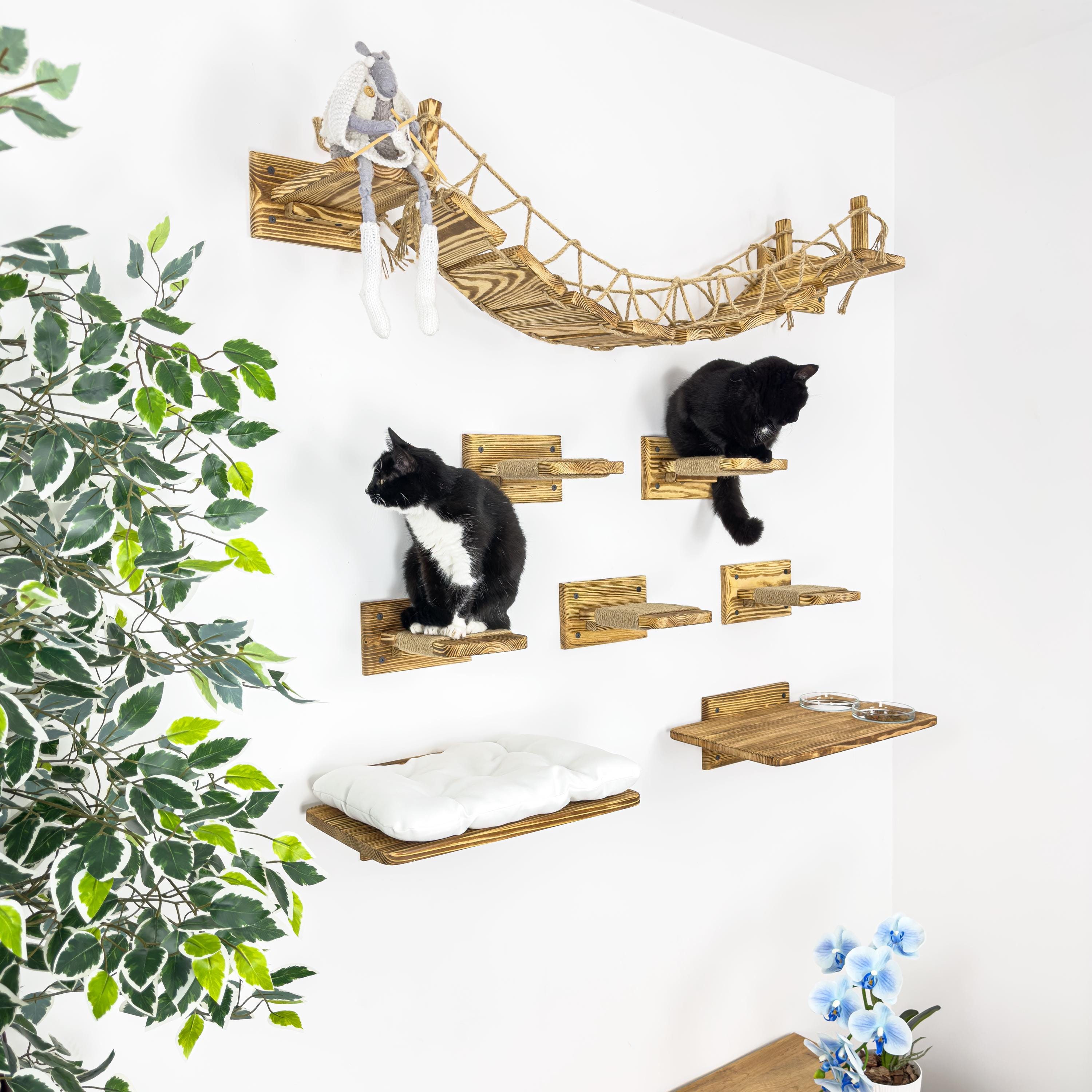 Set Di 2 Scale Da Parete Per Gatti In Legno Di Pino – Piattaforme Per Arrampicata, Salto E Gioco Per Il Tuo Felino