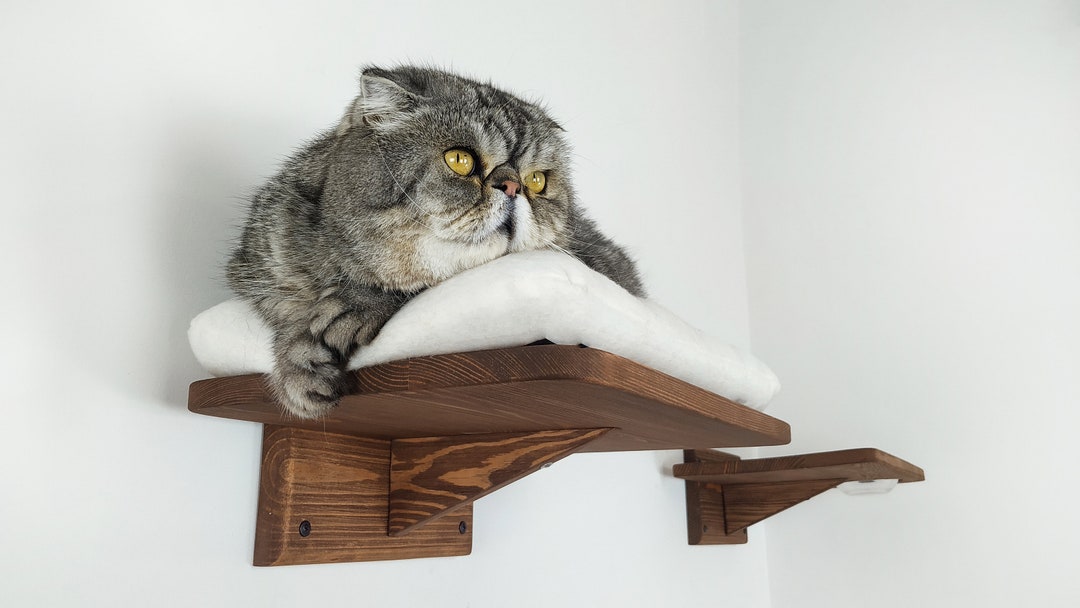 Wall Cat Shelves, Cat Wall Mounted Bed, Cat Wall Furniture, Cat Shelf