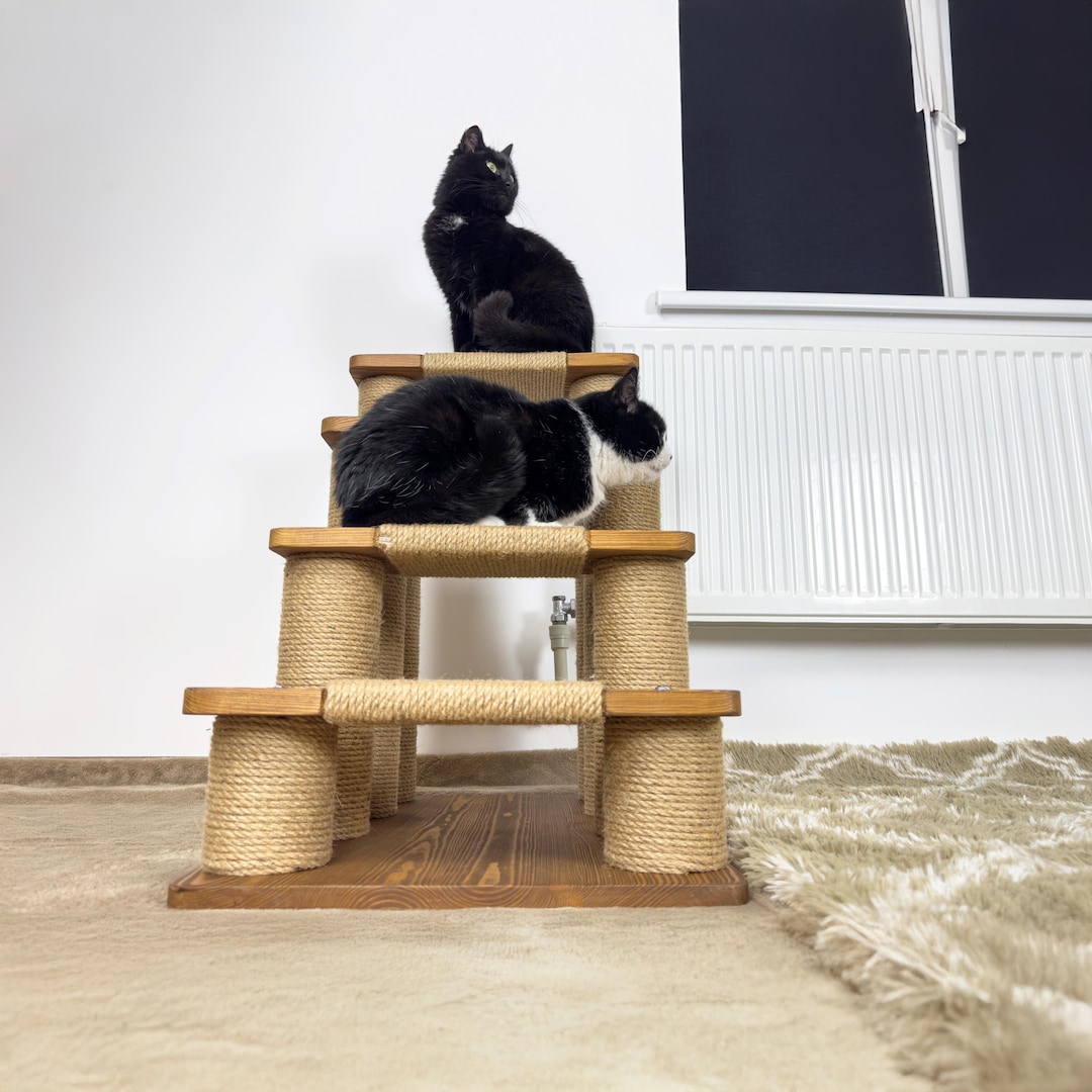 Cat Scratcher Wooden Cat Ramp With Sisal Rope Kitten Stairs for High ...