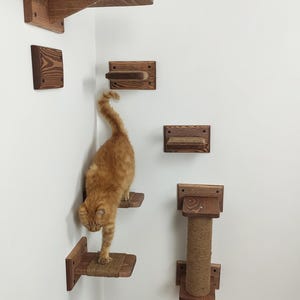 May include: A cat climbing a wooden cat tree with multiple shelves and a scratching post. The cat tree is mounted on a white wall. The cat tree is made of natural wood and has a rustic look.