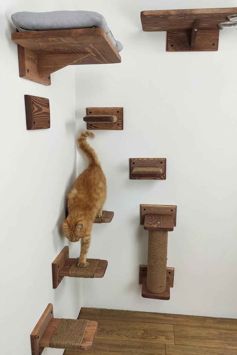 May include: A cat climbing a wooden cat tree with multiple shelves and a scratching post. The cat tree is mounted on a white wall. The cat tree is made of natural wood and has a rustic look.
