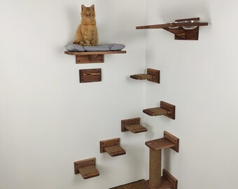 cat highway shelves