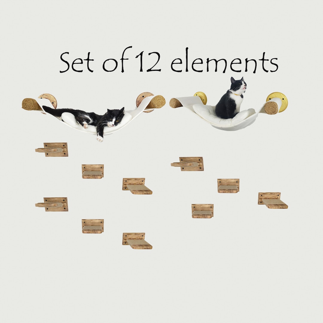 View of Custom Cat Hammock, Cat Shelves, Cat Wall Furniture, 10 Steps, Cat Wall ...