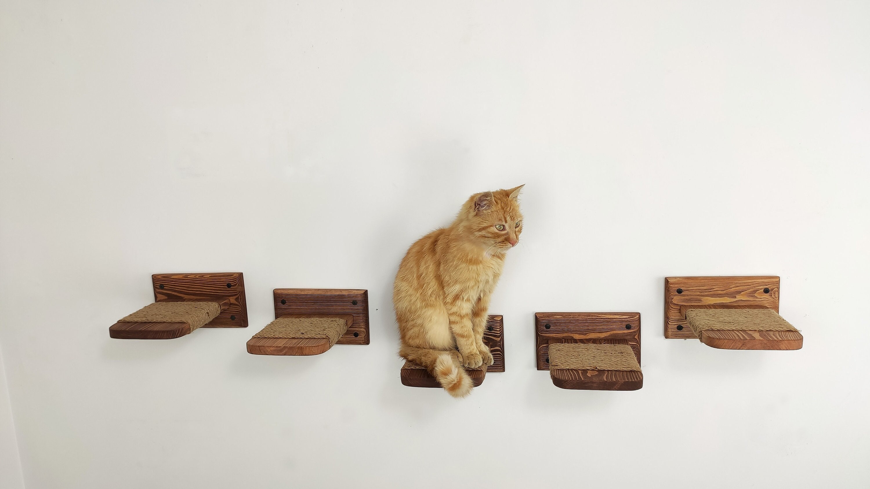 Wooden Cat Wall Steps - Set Of 5 Jute Perches