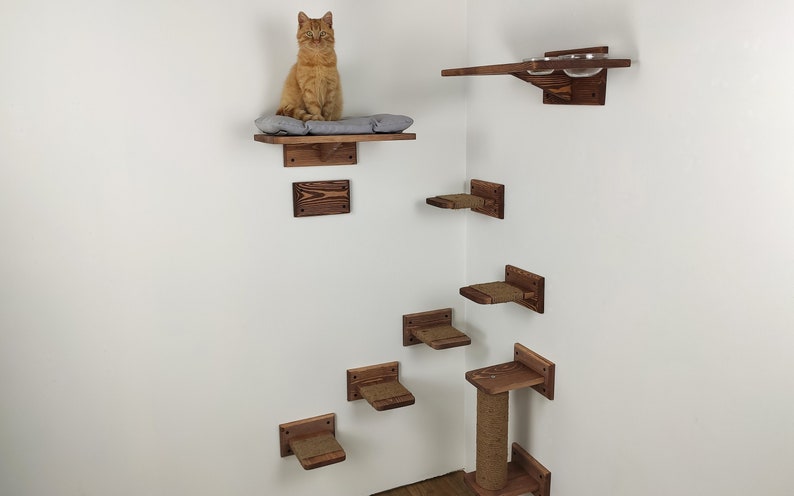 May include: A cat sits on a wooden shelf with a gray cushion. The shelf is part of a cat tree made of multiple wooden shelves and platforms mounted on a white wall. The cat tree also includes a scratching post with sisal rope.