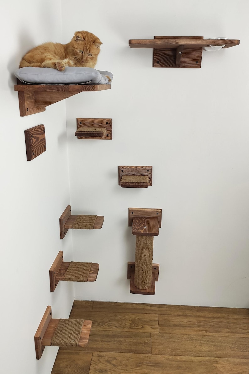 May include: A set of wooden cat shelves and a scratching post mounted on a white wall. The shelves are different sizes and shapes, and some have a soft cushion or rope covering. A cat is sitting on one of the shelves.