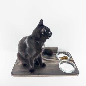 Black Wooden Cat Feeding Shelf: Wall Mounted Kitten Feeder