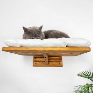 Cat Shelves Wall Furniture for Kitten Wooden Cat Tree Bed Wall Mounted Cat Shelves Pet Supplies Modern Cat Furniture Unique Gift for Cat