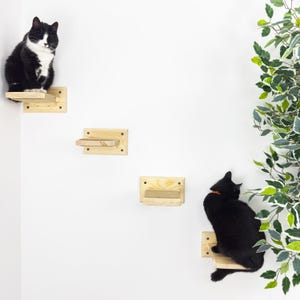 Cat Steps Wall Mounted Set of 4 Steps with Rope Kitten Wooden Ladder  Cat Wall Furniture Set Comfortable Kitten Shelf Perfect Gift for Cat