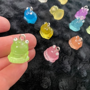 May include: Assortment of ten small frog charms in various translucent colors, including green, blue, pink, yellow, and purple. Each charm has a silver loop for hanging.