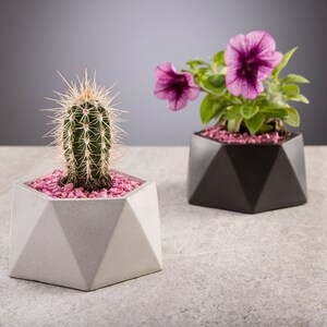 Può includere: Due vasi in cemento geometrici, uno bianco con un cactus e uno nero con fiori rosa. Entrambi i vasi hanno pietre decorative rosa.