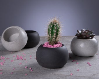 Mini macetero redondo de hormigón, maceta suculenta para cactus u otras plantas, bonito regalo para novia o día de la madre