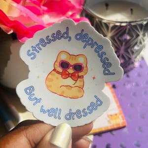 May include: A sticker featuring a cartoon cat wearing sunglasses and a bow tie. The text on the sticker reads "Stressed, depressed, but well dressed" in blue script. The cat is orange with pink accents.