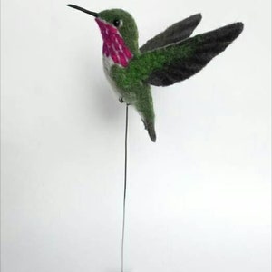 Needle felted hummingbird, felted birds, needle felted bird, needle felted animals, needle felted, hummingbird, felt bird image 3