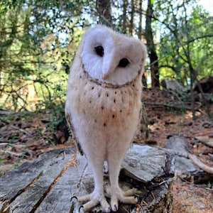 May include: A white and brown barn owl with black eyes is perched on a weathered tree stump in a forest setting.
