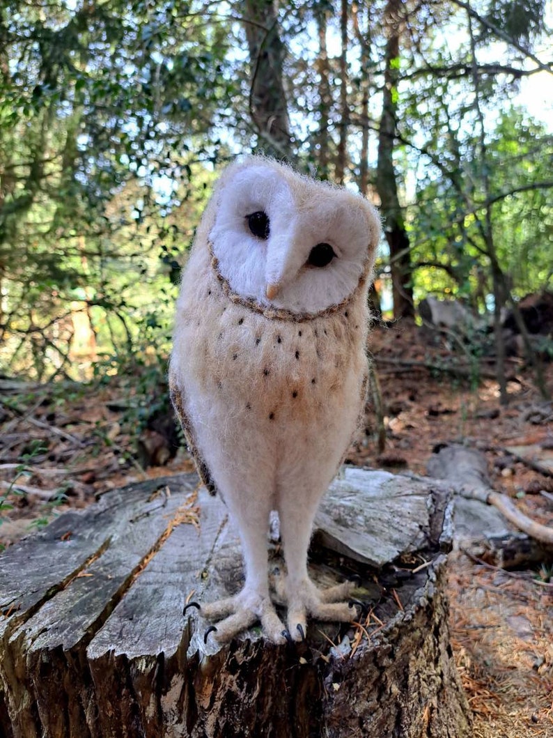 May include: A white and brown barn owl with black eyes is perched on a weathered tree stump in a forest setting.