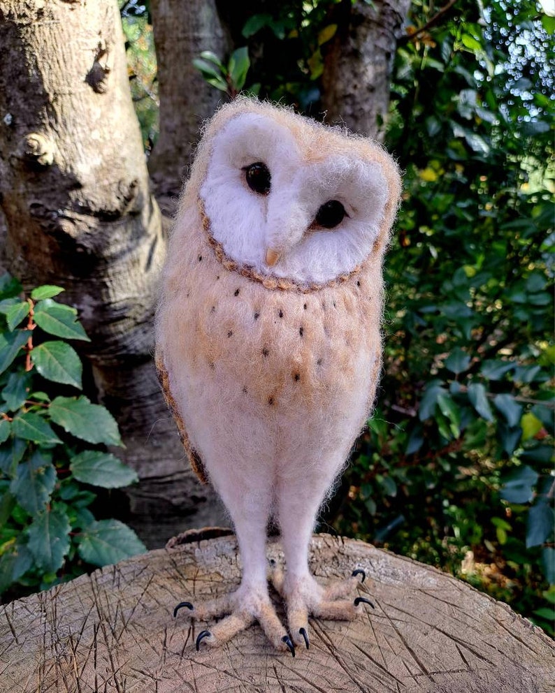 May include: A white and brown barn owl with black eyes is perched on a tree stump. The owl has a white face with a brown stripe around its eyes. The owl is looking directly at the camera.