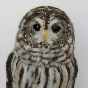 Needle felted owl, needle felted, needle felted animals, Barred owl, needle felt owl, OOAK, owl ornaments, needle felted bird,