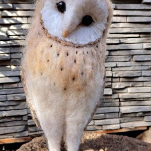 May include: A white and brown barn owl with black eyes, perched on a tree stump. The owl is looking directly at the camera.