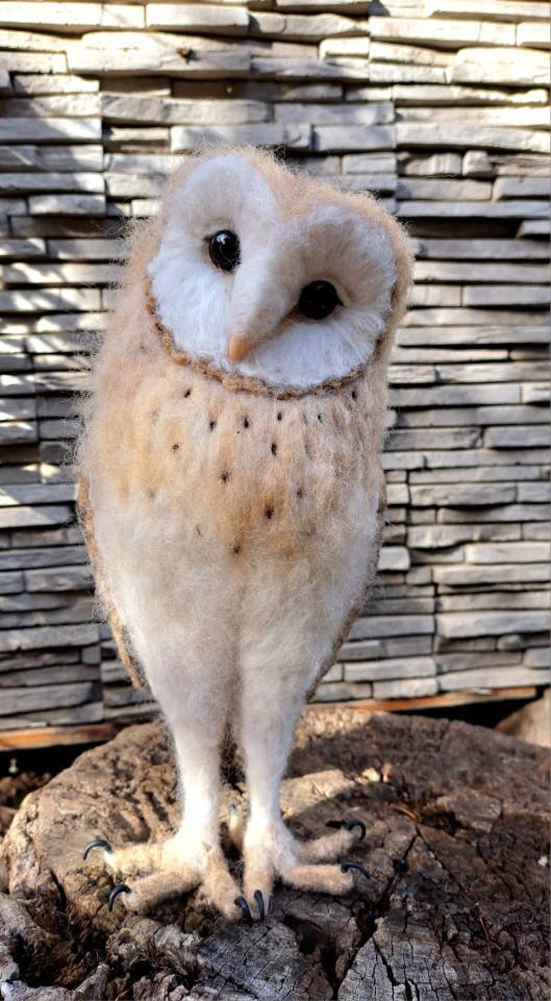 May include: A white and brown barn owl with black eyes, perched on a tree stump. The owl is looking directly at the camera.
