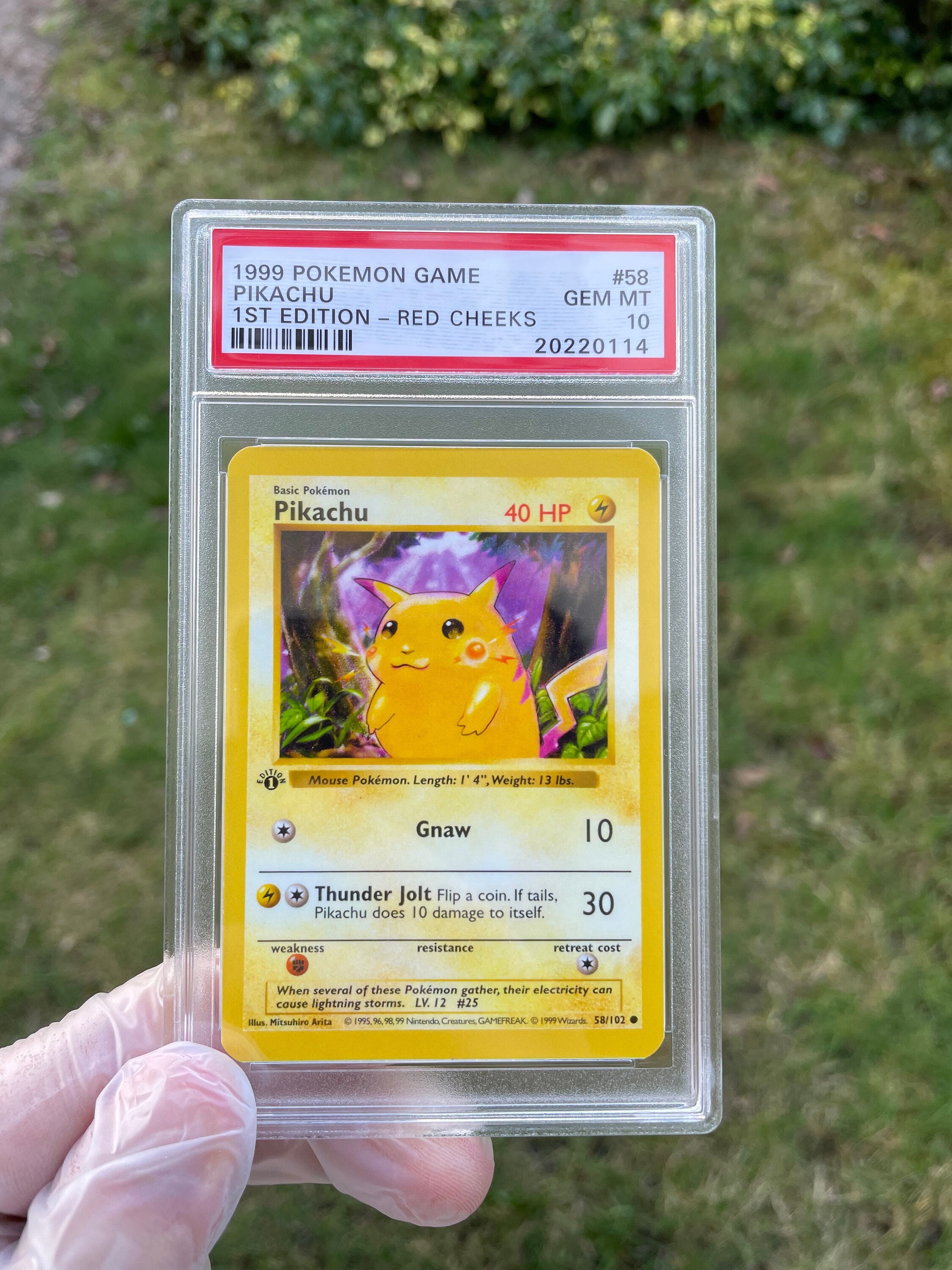 fat pikachu psa 10