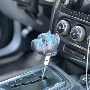 May include: A black and silver gear shift knob with a detailed dog head design. The gear shift knob is in a car's interior.