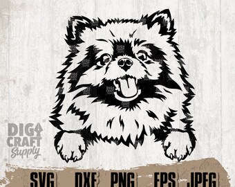 Download Pomeranian Svg Etsy