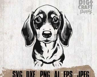 Baby Dachshund Dog svg, Pet Lover Gift Idea, Doggo Mom Cutfile, Paw Dad Shirt png, Puppy Stencil, Hoomans dxf, Vet Clipart, Domestic Animal
