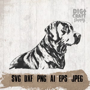 Labrador hond svg | Retriever Doggo Clipart | Jachtdier dxf | Hondenmoeder Shirt png | Guard Home Huisdier Cutfile | Poot minnaar stencil| Honden jpg