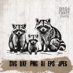 3 Waschbär svg, Waschbär Familie Clipart, Wald Tier Schablone, Straßenkatze Cutfile, Trash Panda Shirt png, lustige süße Trash Katze dxf, jpeg