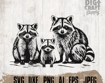 3 Raccoon svg, Raccoons Family Clipart, Woodland Animal Stencil, Street Cat Cutfile, Trashy Panda Shirt png, Funny Cute Trash Cat dxf, jpeg