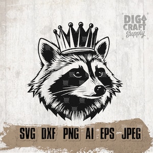 Raccoon svg, Street Cat Clipart, Trash Panda Cutfile, Woodland Animal Stencil, Trashy Scavenger jpeg, Cute Zoo Crew Shirt png, Raccoons dxf