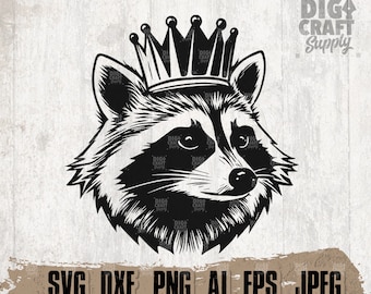 Raccoon svg, Street Cat Clipart, Trash Panda Cutfile, Woodland Animal Stencil, Trashy Scavenger jpeg, Cute Zoo Crew Shirt png, Raccoons dxf