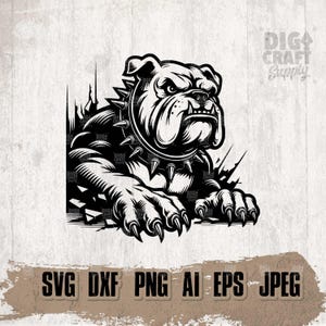May include: Black and white illustration of a bulldog with a spiked collar, breaking through a wall. The bulldog is looking to the right with a fierce expression.