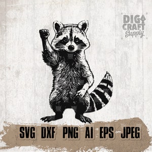 Funny Raton laveur svg, Woodland Animal Clipart, Curious Street Cat Cutfile, Trashy Cat Stencil, Funny Trash Panda dxf, Rave Raccoon Shirt png
