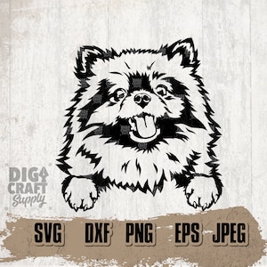 Pomeranian Dog Digital Downloads, Pomeranian svg, Pomeranian Clipart, Pomeranian Stencil, Dog Svg, Dog Clipart, Peeking dog svg,