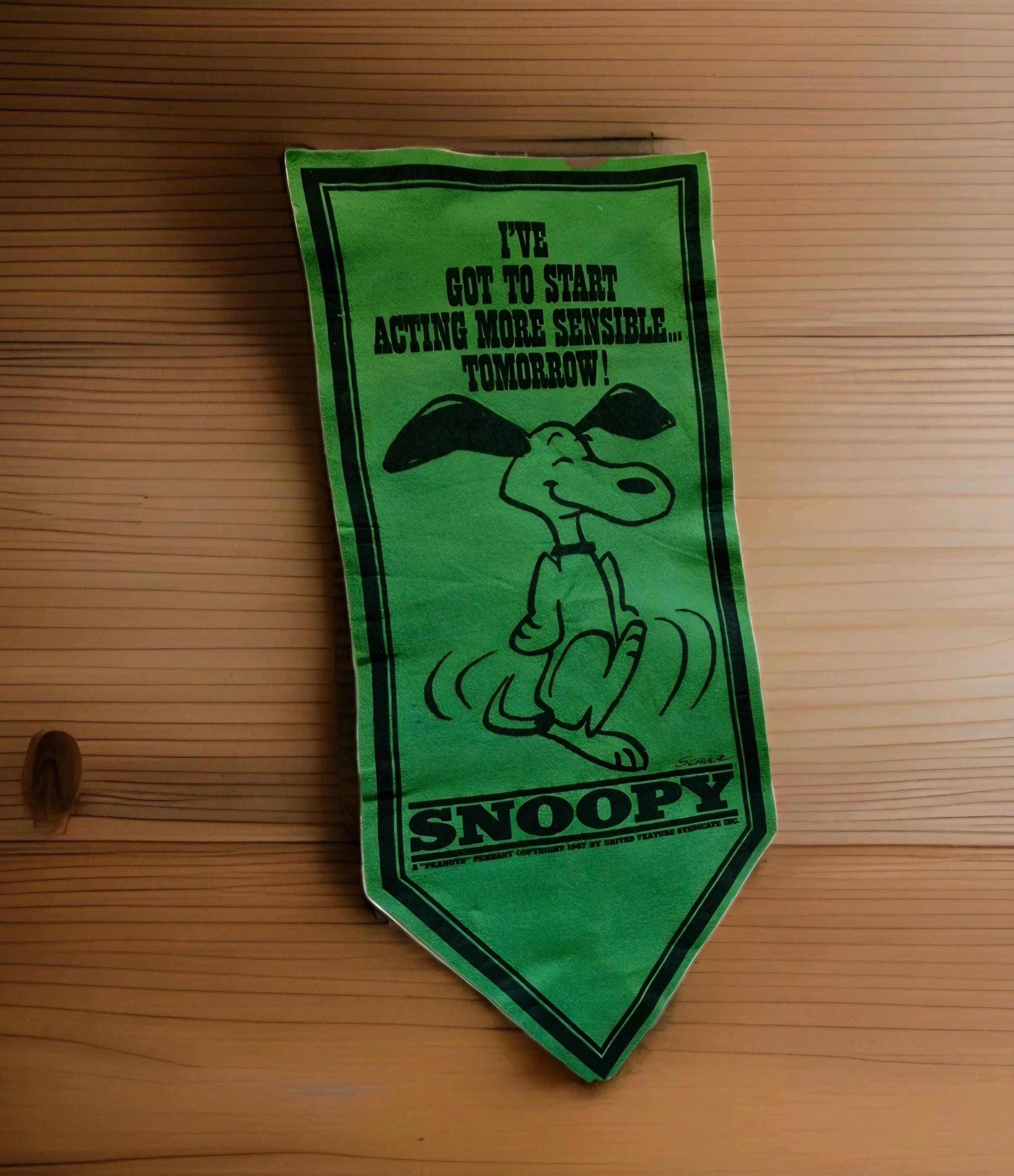 Vintage Snoopy Banner - Etsy