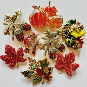Autumnal Brooch Various styles clothing pin badge owl pumpkin acorn maple