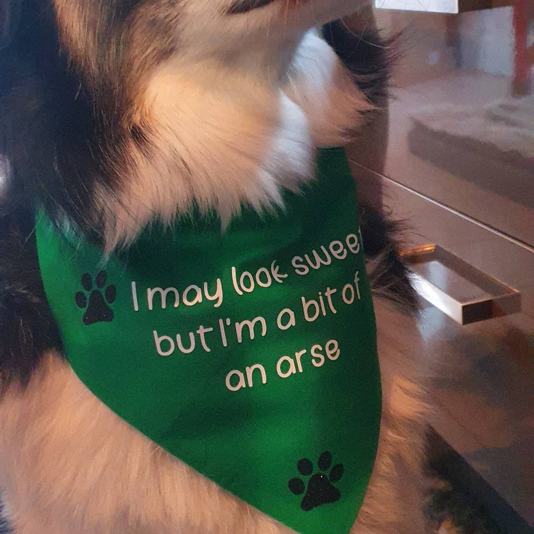 Funny Dog Bandana
 Personalised Dog Bandana Dog Neck Wear Hand Made Dog Bandanas Funny