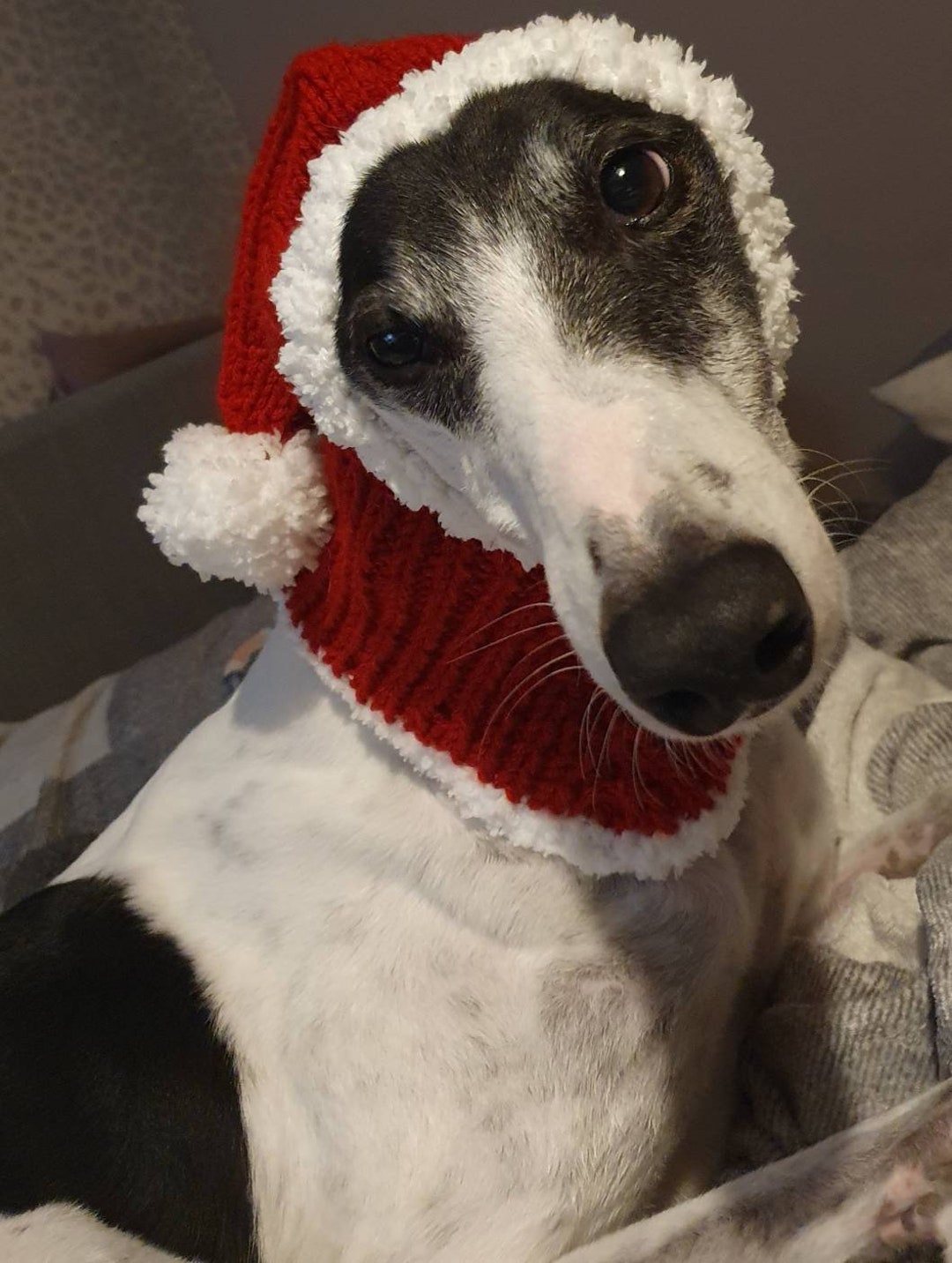 Greyhound Santa Hat Greyhound Knitted Hat Santa Dog Snood Etsy UK