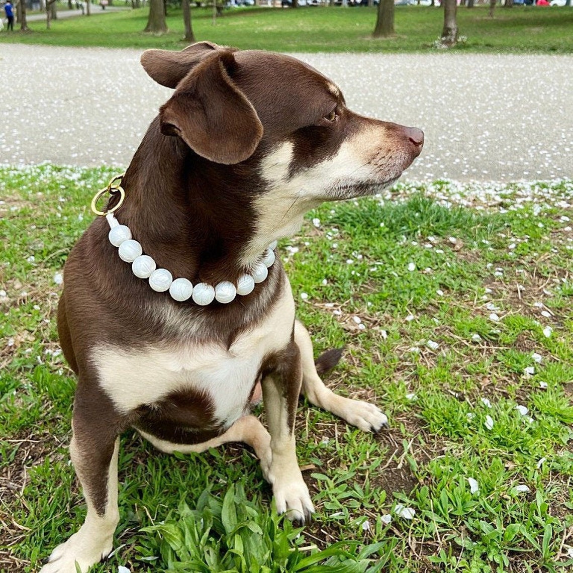 Pearl white silicone durable Dog Collar custom beaded dog Etsy
