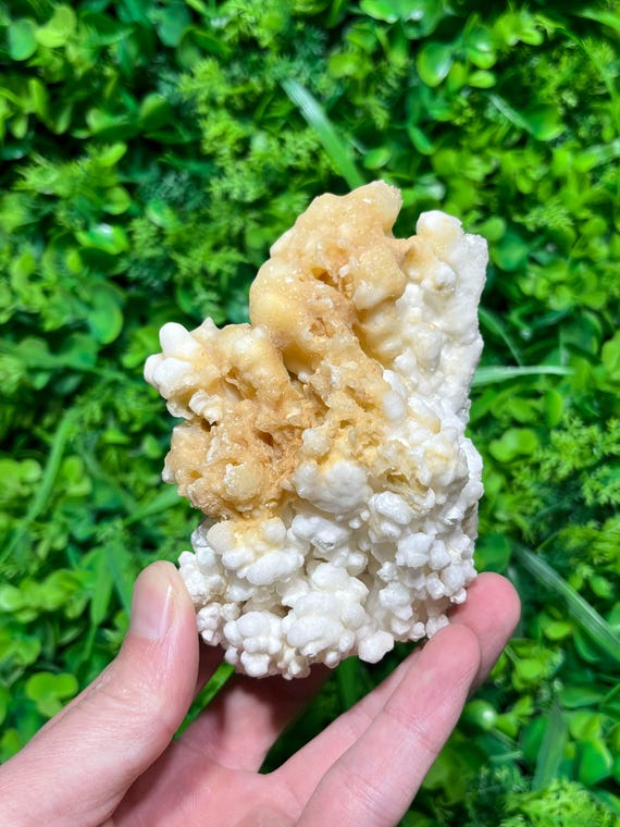 鍾乳石　天然石　大型標本 4.5インチ 天然方解石鍾乳石結晶標本 原石装飾 - Etsy 日本