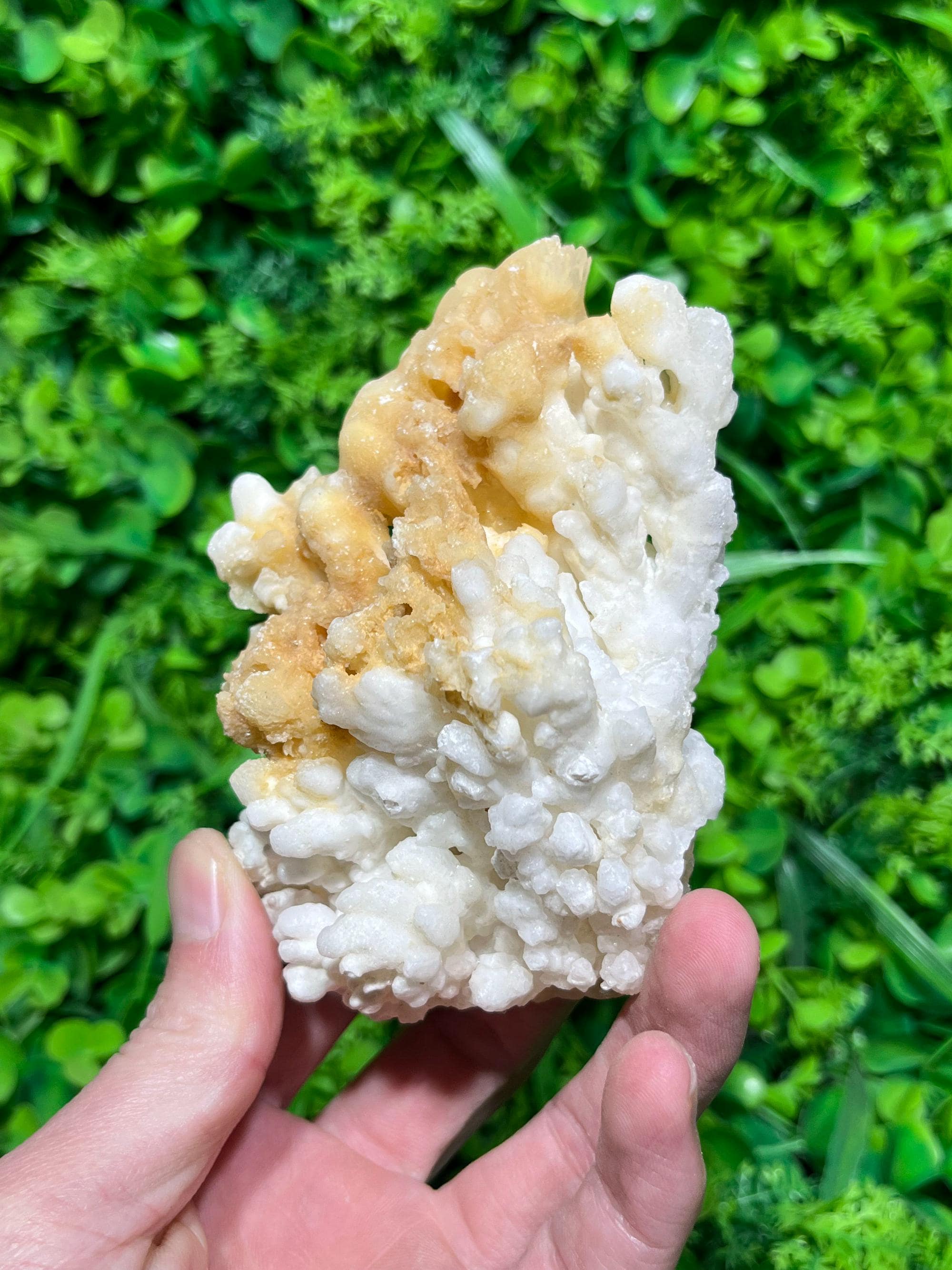 4.5インチ 天然方解石鍾乳石結晶標本 原石装飾 - Etsy 日本
