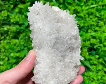 4.84" Natural Clear Quartz Cluster with Needle Points | Raw Crystal Cluster Mineral Specimen, Healing Crystal Home Decor