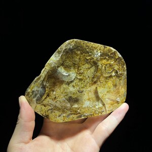 Pode incluir: Um grande cristal translúcido amarelo-marrom com inclusões. O cristal tem uma forma irregular e áspera e é segurado na mão.