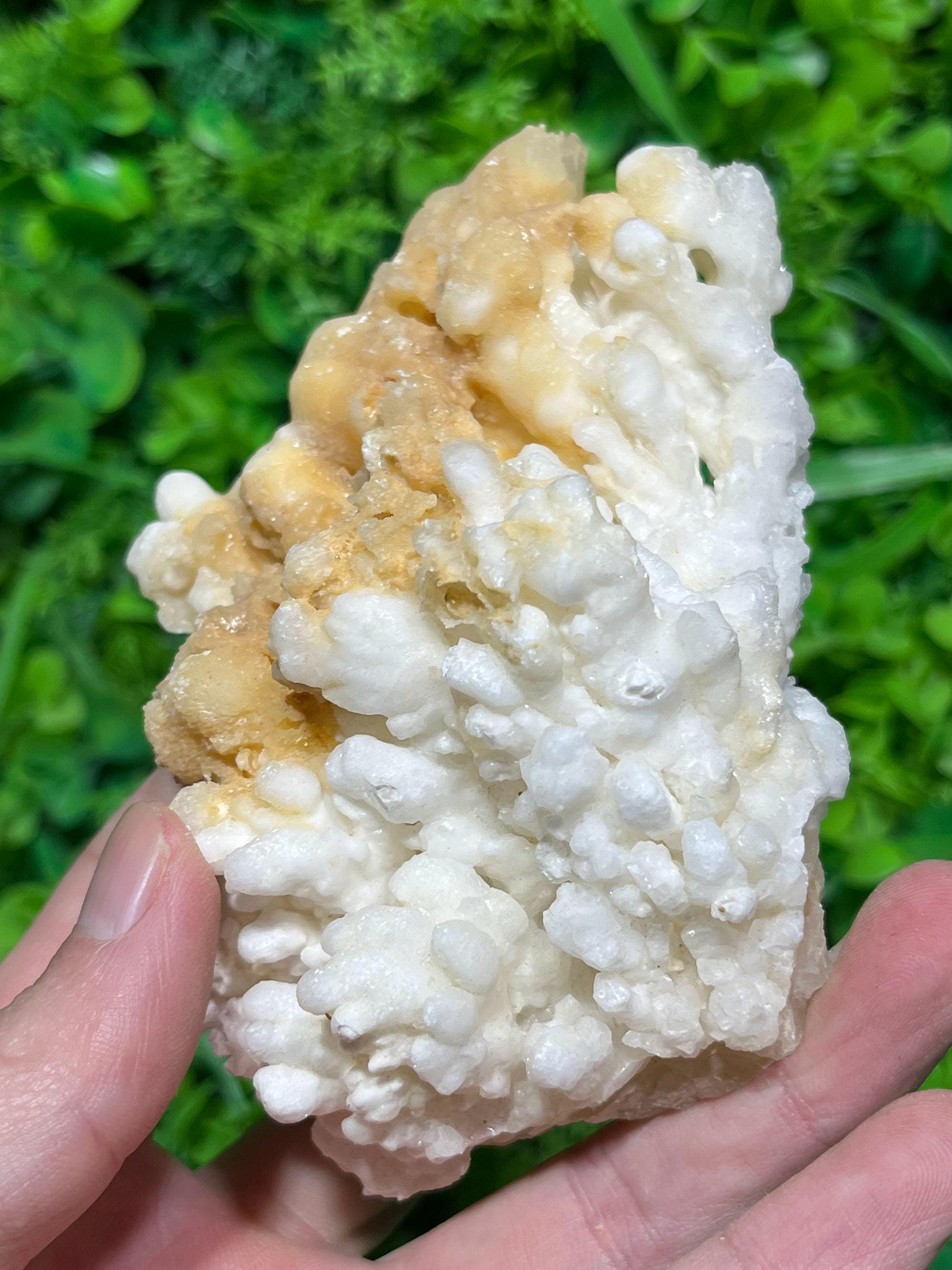 鍾乳石　天然石　大型標本 4.5インチ 天然方解石鍾乳石結晶標本 原石装飾 - Etsy 日本