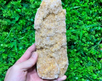7.7" Natural Clear Quartz Cluster with Needle Points | Raw Crystal Cluster Mineral Specimen, Healing Crystal Home Decor