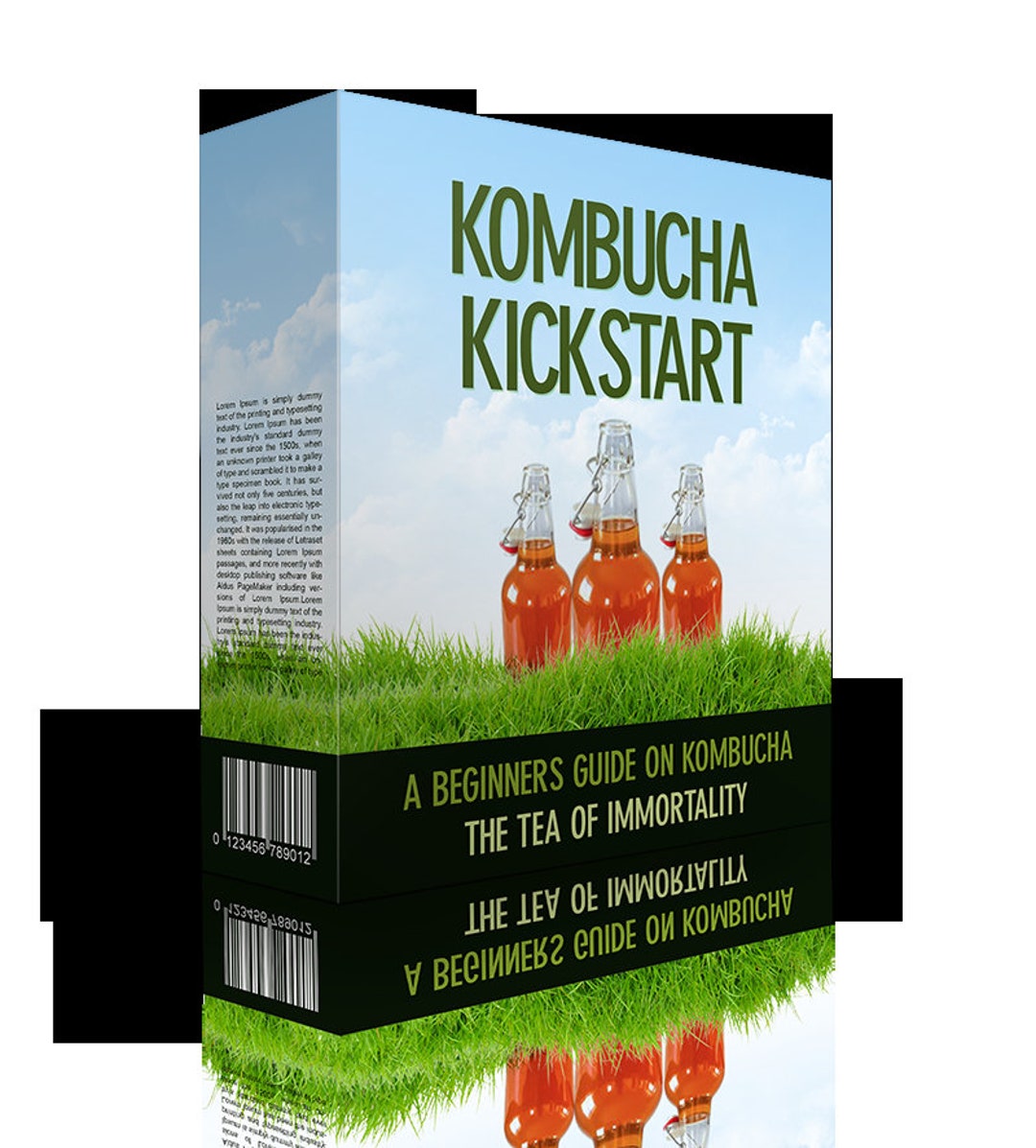 Kombucha A Beginners Guide on All Aspects of Kombucha a Etsy